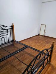 The Sunny Spring (D14), Apartment #560267621